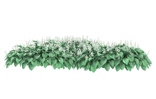 This is a 3D rendering of a field of grass that has been isolated against a blank background. The field appears to be quite expansive, with dense tufts of green grass covering the ground. The overall effect is one of natural beauty and serenity. This illustration could be used in a variety of contexts, such as for a nature-themed website or as part of an advertising campaign for a gardening or landscaping company.
