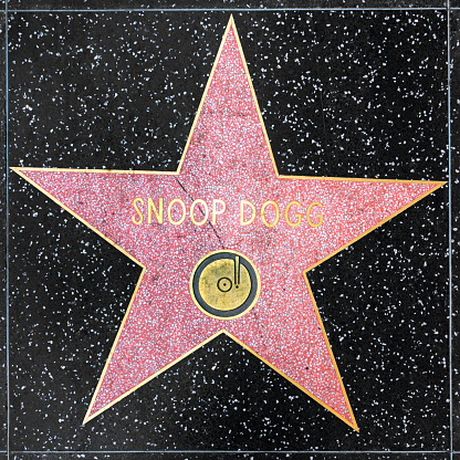 Los Angeles, USA - March  5, 2019: closeup of Star on the Hollywood Walk of Fame for Snoop Dogg.