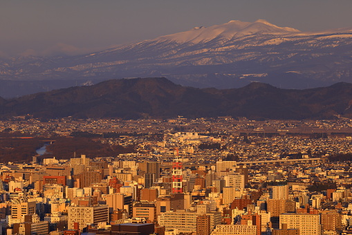View of Mt. Fuji, Tokyo Tower and crowded buildings in downtown Tokyo.
