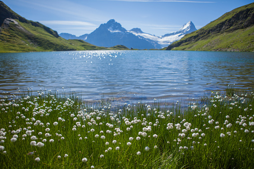 A wonderful summer day at the bachalpsee in the swiss mountains