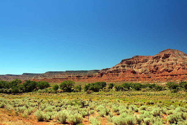 istock Zion National Park, USA 147319073