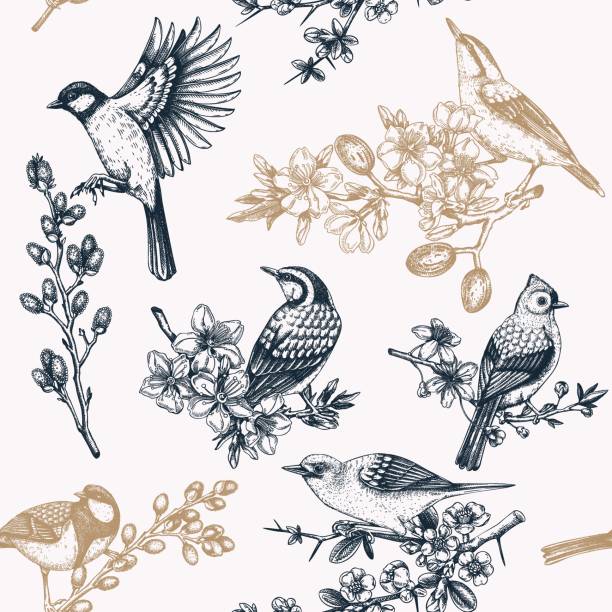 Spring garden background. Spring garden background. Vintage seamless patter with birds, flowers, leaves and blooming tree branches. Hand drawn almond, willow, rowan, willow, cherry blossom floral sketches for prints or textile songbird stock illustrations