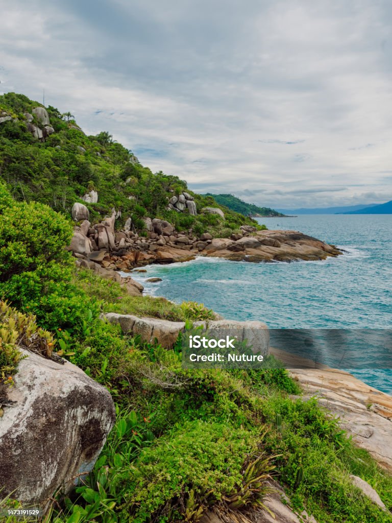 Tropical coastline with plants, amazing rocks and turquoise ocean in Brazil. Florianópolis Stock Photo