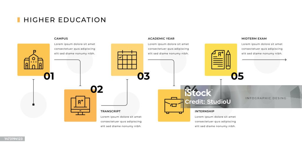 Infographic Show Transcript Higher Education Infographic Design Stock Illustration - Download Image ...