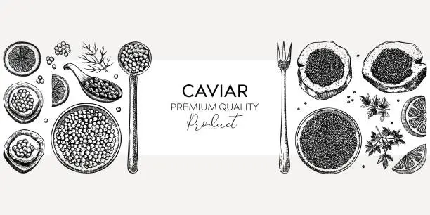 Vector illustration of Caviar canape banner design