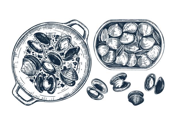 Cooked clams with herbs on plate illustration. Shellfish and seafood restaurant design element. Hand drawn canned clams in tin can sketch isolated on white background. For menu, recipes, packaging