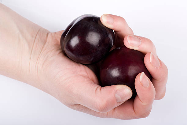 Hand holding plums