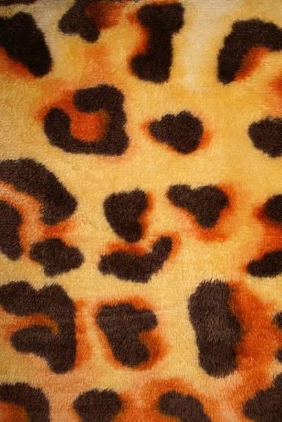 Cheetah Blanket stock photo