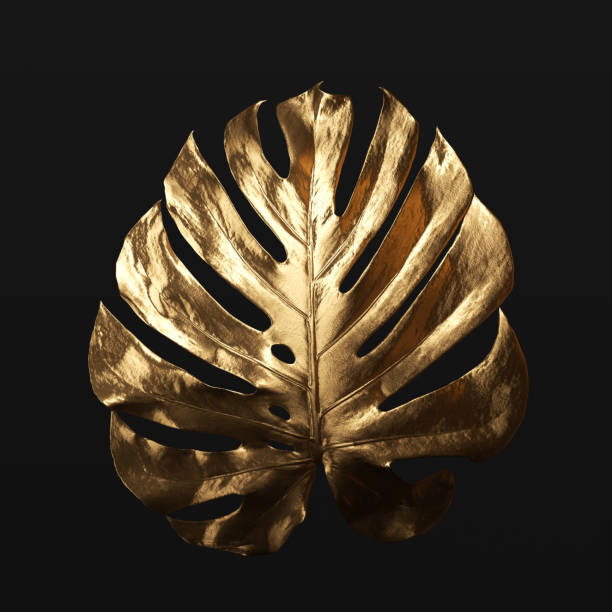 istock Monstera plant tropical leaf gold texture 1473200863