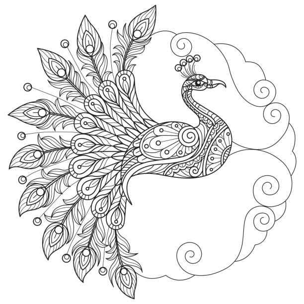 ilustrações de stock, clip art, desenhos animados e ícones de peacock hand drawn for adult coloring book - peacock feather outline black and white