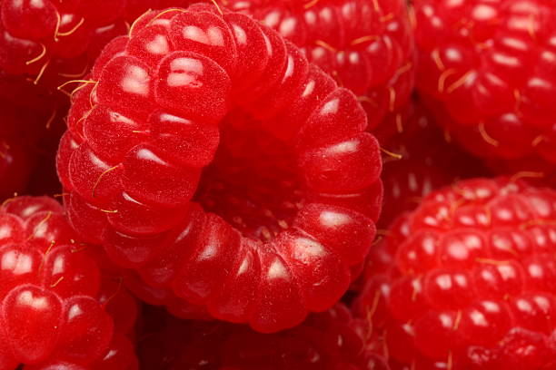 Fresh raspberries stock photo