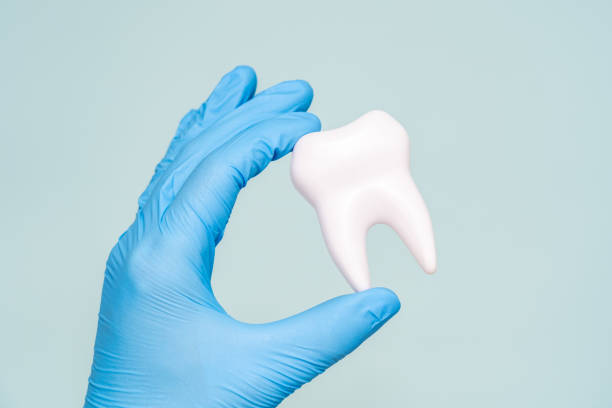 istock Doctors hand holding a model of tooth. Dentist 1473204669