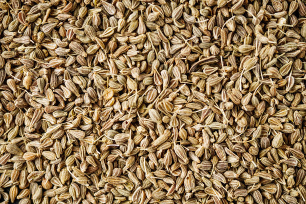 istock aromatic dry anise seeds on a dark black stone background 1473204854