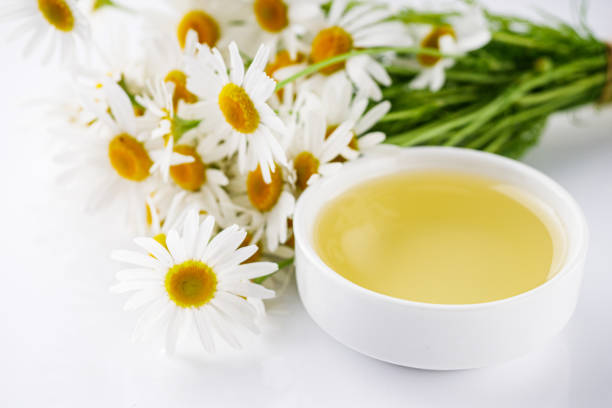 istock aromatic chamomile essential oil on a white background 1473204870