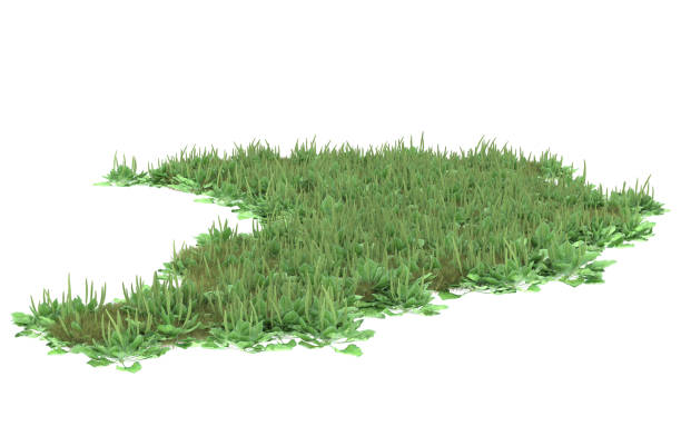 背景に草の畑。3Dレンダリング – イラスト