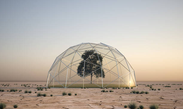 istock tree under a glass dome in desert area - 3D Illustration 1473206801
