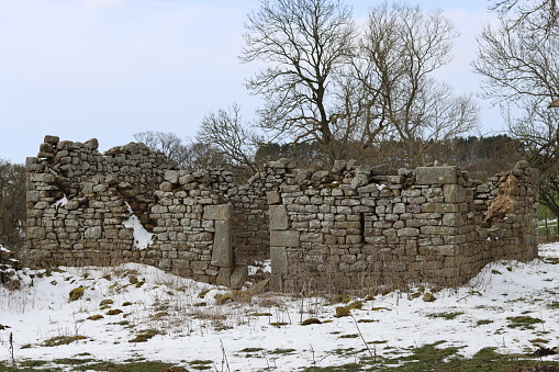 Ruins of an abandoned farmhouse in a winter landscape