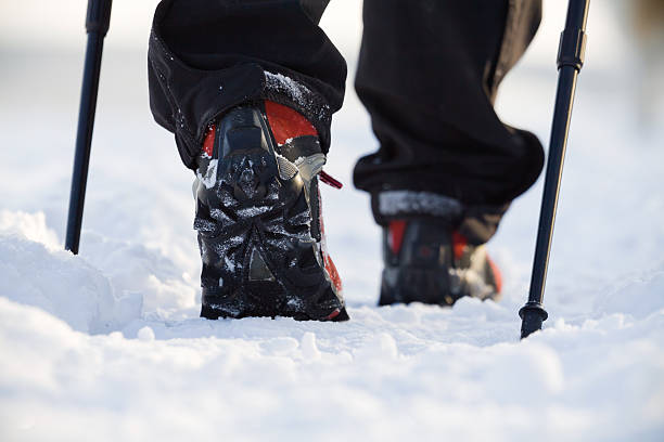 istock Nordic walking in winter 147321175