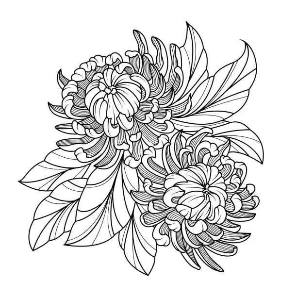 Vector illustration of Monochrome chrysanthemum in line art style.