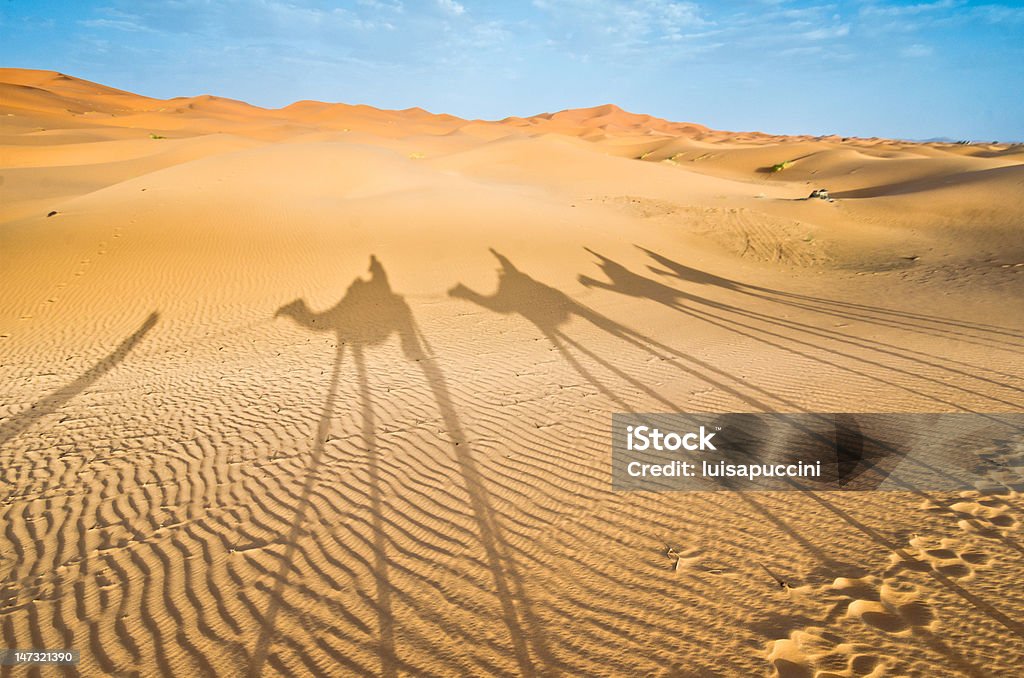 Maroko, Merzouga: Cienie z wielbłąda caravan - Zbiór zdjęć royalty-free (Afryka)