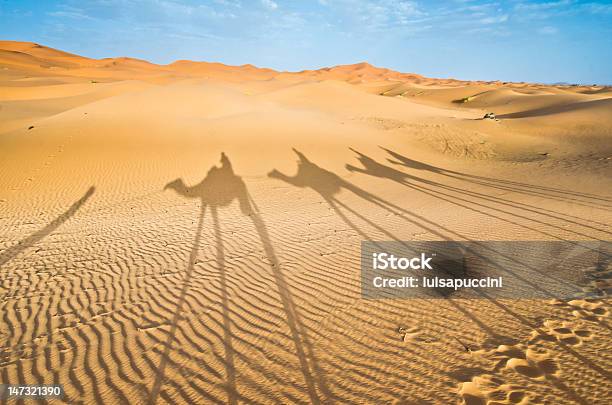 Marrocos Merzouga Sombras De Caravana De Camelo - Fotografias de stock e mais imagens de Andar - Andar, Ao Ar Livre, Areia