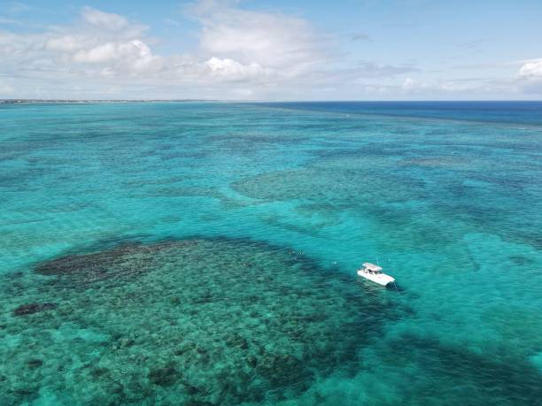 Ocean Snorkeling a reef providenciales stock pictures, royalty-free photos & images