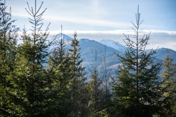 istock Mountain landscape, Carpathian Mountains, Ukraine 1473216905