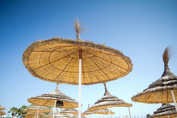beach umrella straw beach umrella with blue sky sousse tunisia stock pictures, royalty-free photos & images
