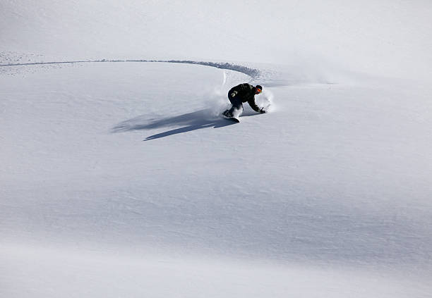 Snow boarder on fresh powder stock photo
