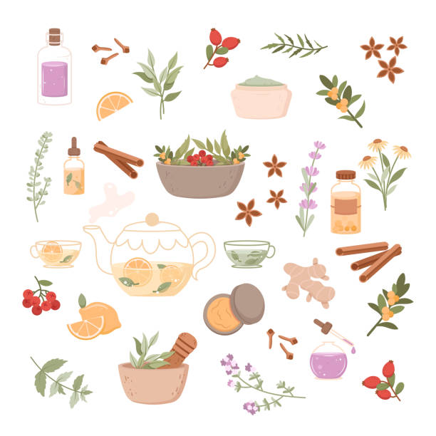 Herbal medicine illustration set. Flat icon with flower spa cartoon for medical design Herbal medicine illustration set. Flat icon with flower spa cartoon for medical design. Vector illustration isolated on white background. Set of herbal medicine elements chinese herbal medicine stock illustrations