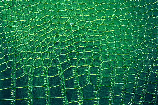 Green Crocodile Alligator Leather Skin Texture Pattern Shiny Leatherette Alligator Dragon Dinosaur Reptile Ombre Background Teal Foil Rough Bumpy Paper Copy Space Macro Photography Design template for presentation, flyer, card, poster, brochure, banner