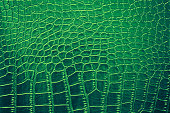 Green Crocodile Alligator Leather Skin Texture Pattern Shiny Artificial Leatherette Alligator Dragon Dinosaur Reptile Ombre Light Background Teal Foil Rough Bumpy Paper Copy Space Macro Photography Full Frame
