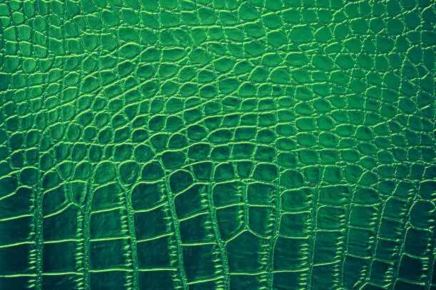 Photo of Green Crocodile Alligator Leather Skin Texture Pattern Shiny Artificial Leatherette Alligator Dragon Dinosaur Reptile Ombre Light Background Teal Foil Rough Bumpy Paper Copy Space Macro Photography Full Frame