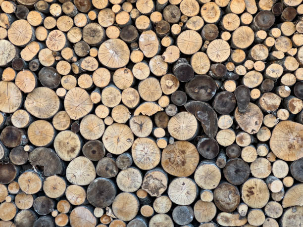 istock Pile of stacked wood trunks 1473224637