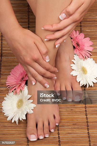 Spa Stock Photo - Download Image Now - Beauty Spa, Daisy, Flower