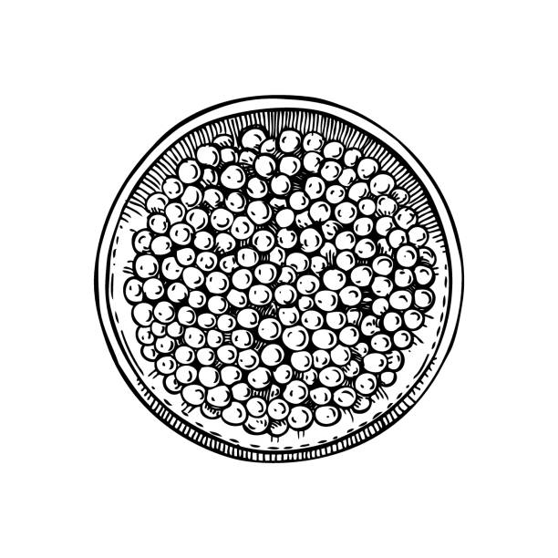 2,800+ Drawing Of The Fish Eggs Stock Illustrations, Royalty-Free Vector  Graphics & Clip Art - iStock