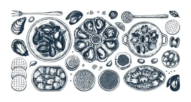 Vector illustration of Seafood platter sketches