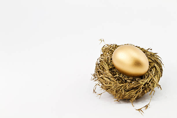 istock Hopeful Gold Financial Nest Egg 147322672