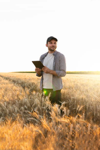 istock Farmer with digital tablet on an agricultural field. 1473230781