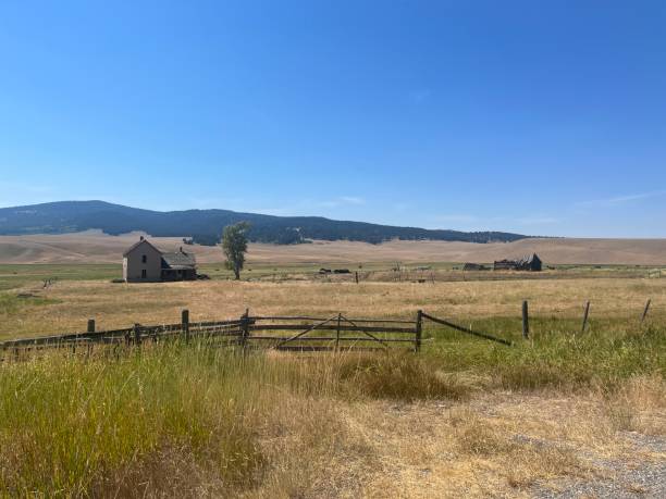 istock Montana rural landscape 1473233200