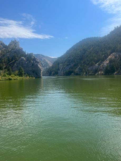 istock Gates to the Wilderness Montana 1473233504
