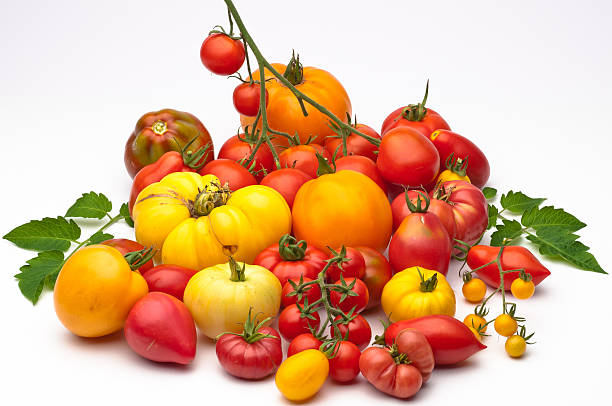 istock heirloom tomatoes - red yellow orange black tomato varieties 147323367