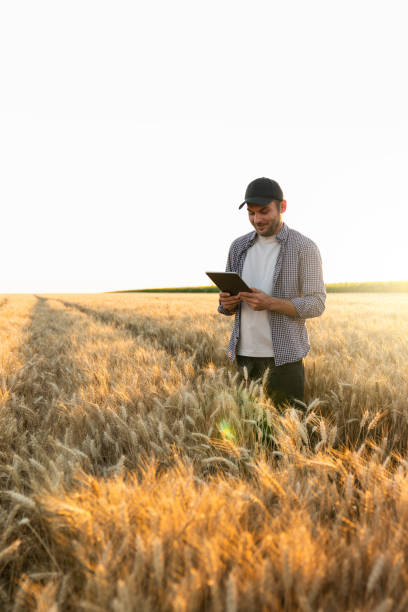 istock Farmer with digital tablet on an agricultural field. 1473233984