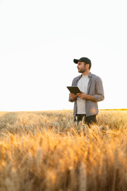istock Farmer with digital tablet on an agricultural field. 1473234503