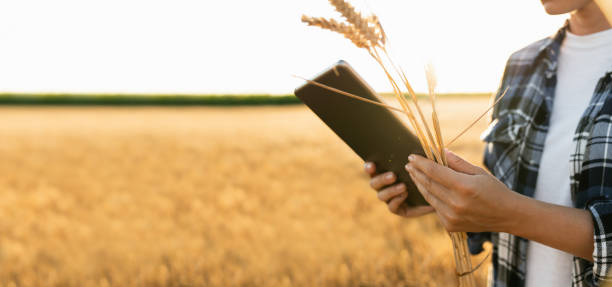 istock Farmer with digital tablet on an agricultural field. 1473234504