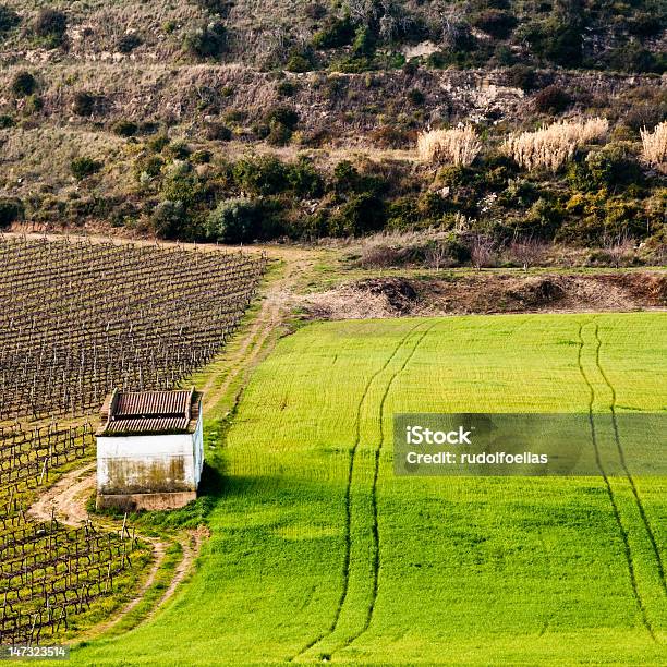 Forçado A Curva - Fotografias de stock e mais imagens de Abandonado - Abandonado, Arcaico, Campo agrícola