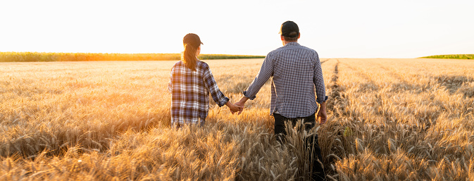 A couple of farmers in plaid shirts and caps holding hands on agricultural field of wheat at sunset