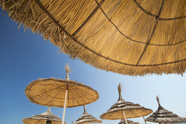beach umrella straw beach umrella with blue sky tunisia beach stock pictures, royalty-free photos & images