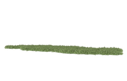 This is a 3D rendering of a field of grass that has been isolated against a blank background. The field appears to be quite expansive, with dense tufts of green grass covering the ground. The overall effect is one of natural beauty and serenity. This illustration could be used in a variety of contexts, such as for a nature-themed website or as part of an advertising campaign for a gardening or landscaping company.