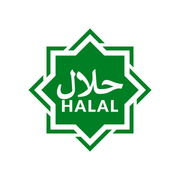 Green Halal icon. Vector illustration in HD very easy to make edits. kosher symbol stock illustrations